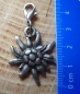 Preview: 1 Charivarianhänger Edelweiß, antik-silberfarben, ca. 4,8 cm