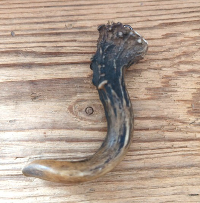 1 Charivarianhänger "Horn" , Trachtenanhänger, ca. 8 cm