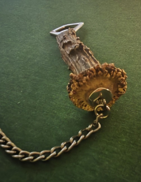 1 Flaschenöffner / Kapselheber mit Rehhorngriff und Kette